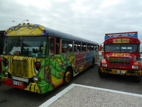 Aruba Tour Buses