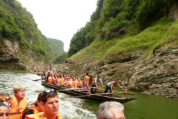 Shennong Stream