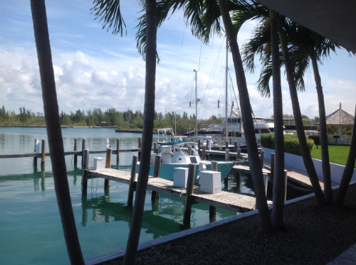 Flamingo Bay Marina