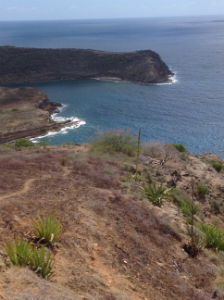 Antigua coast