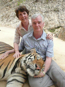 Tiger, Thailand
