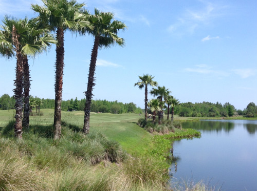 LPGA Course