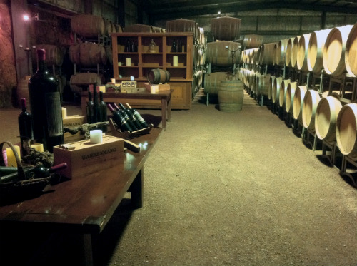 Warrenmang cellar