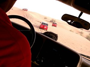 Dune Safari