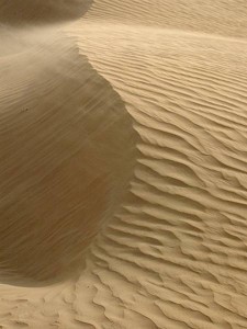 Sand Dune