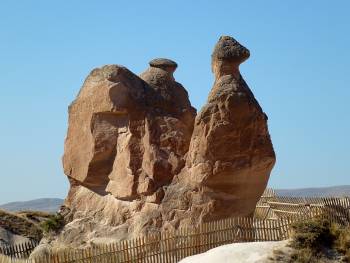 Camel rock