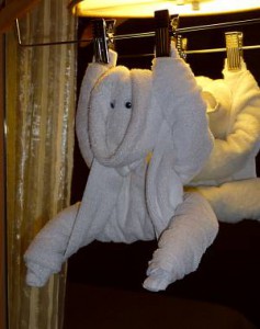 Rotterdam Towel Monkey