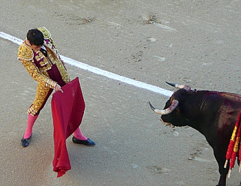 Bullfight