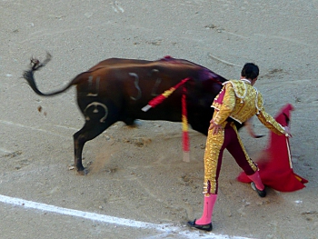 Matador