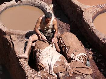 Tannery Worker