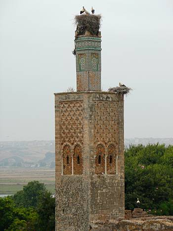 Chellah minaret