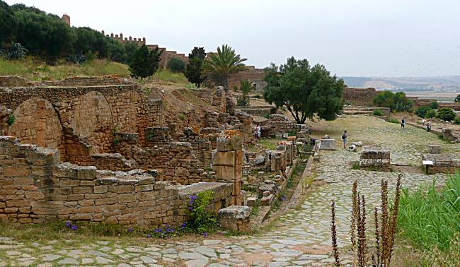 Chellah ruins