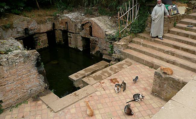 Sacred Pool Chellah